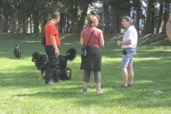 IMG-20260914-WA0052