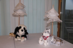 Photo3