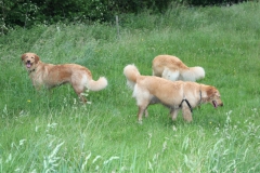 Photo9