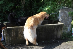 Photo02