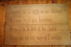 Photo14