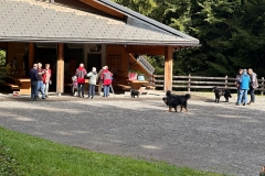 IMG-20250914-WA0006