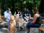 Corgemont 10